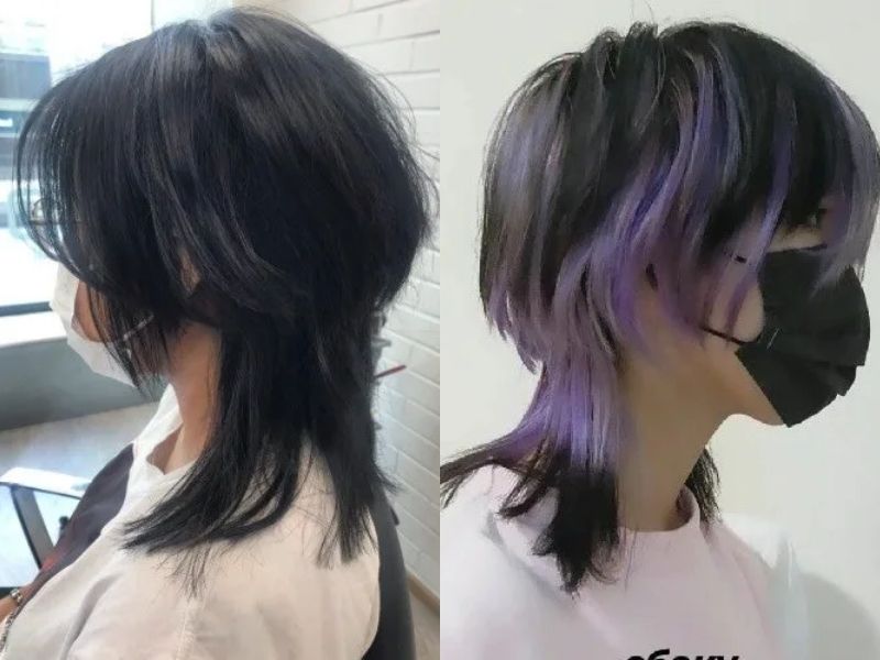 Mullet con sứa