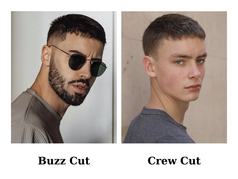 phân biệt kiểu tóc Crew Cut và Buzz Cut