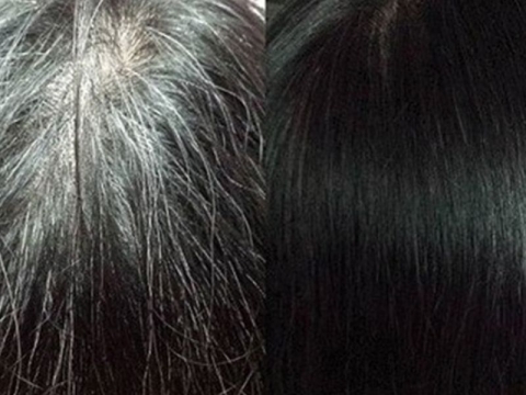 Thuốc Nhuộm Phủ Bạc Loại Nào Tốt? Top 8 Thương Hiệu Uy Tín thuốc nhuộm phủ bạc