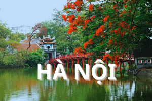 56, ngõ 216, tổ 30, phố Định Công, P. Phương Liệt, Hà Nội