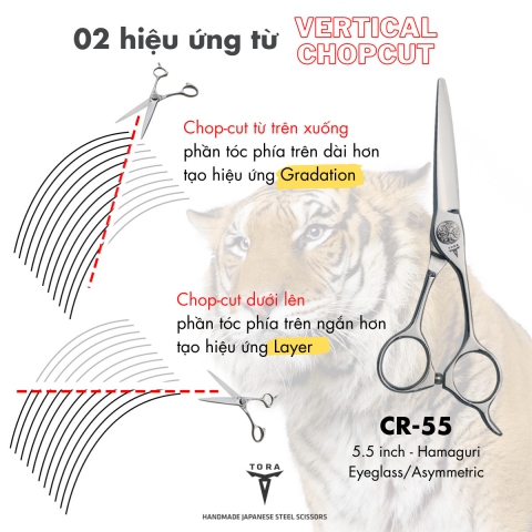 Kỹ thuật cắt điểm (Chop cut/Point Cut) Kỹ thuật cắt điểm (Chop cut/Point Cut)